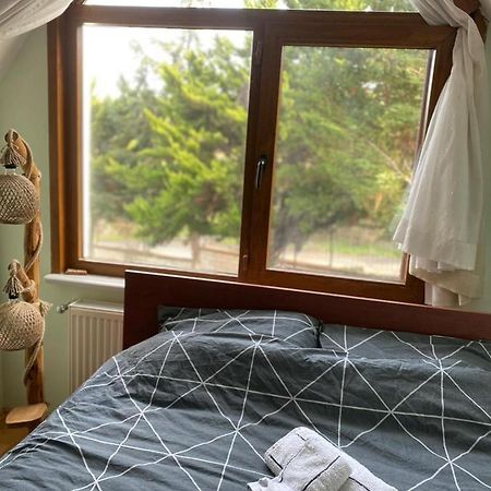 Havalimanina Yakin Orman Icinde Ferah Villa1 Arnavutkoy Bagian luar foto